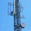 Climbing down.JPG